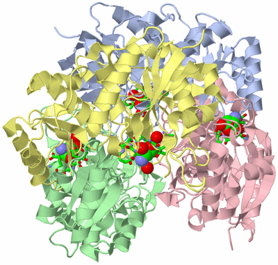 Image Biol. Unit 1 - sites