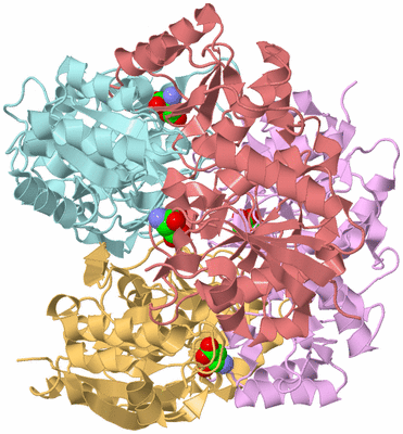 Image Biological Unit 2