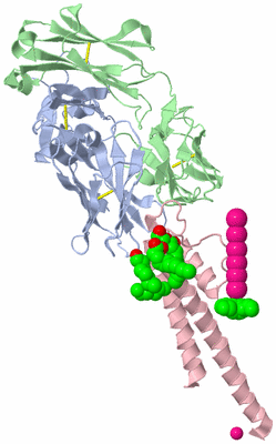 Image Asymmetric Unit