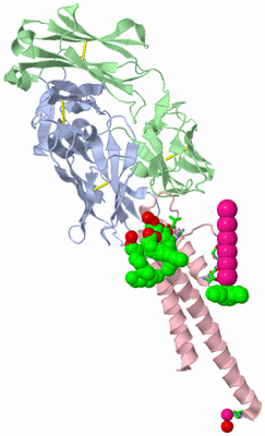 Image Asym. Unit - sites