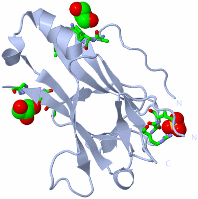 Image Biol. Unit 1 - sites