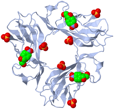 Image Biological Unit 1