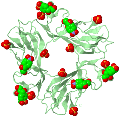 Image Biological Unit 2