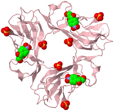 Image Biological Unit 3