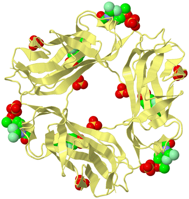 Image Biological Unit 4