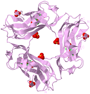 Image Biological Unit 5