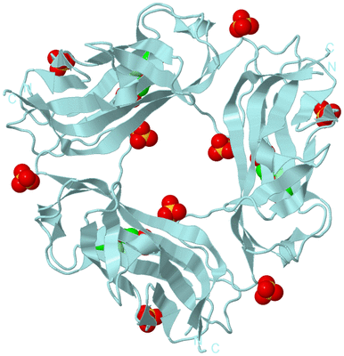 Image Biological Unit 6