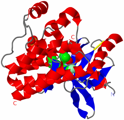 Image Asym./Biol. Unit