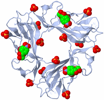 Image Biological Unit 1