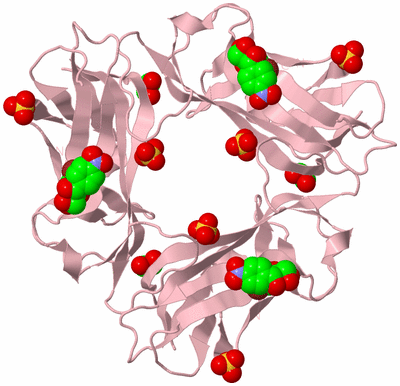 Image Biological Unit 3