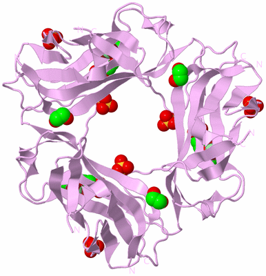 Image Biological Unit 4