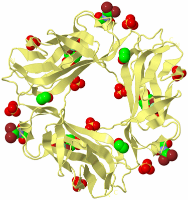 Image Biological Unit 5