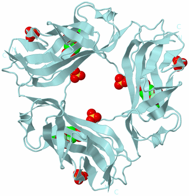 Image Biological Unit 6