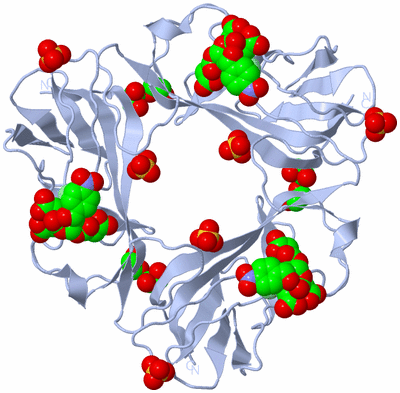 Image Biological Unit 1