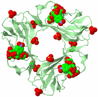 Image Biological Unit 2