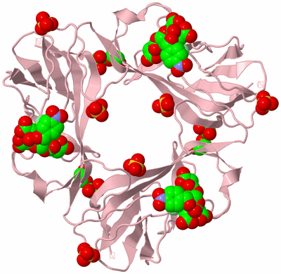 Image Biological Unit 3