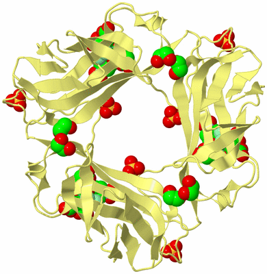 Image Biological Unit 4