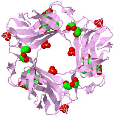 Image Biological Unit 5