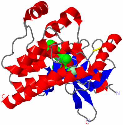 Image Asym./Biol. Unit