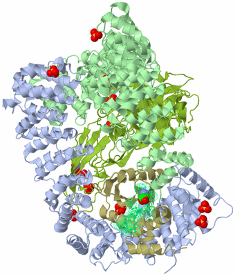 Image Biological Unit 1