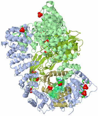 Image Biol. Unit 1 - sites