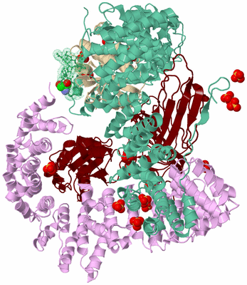 Image Biological Unit 2