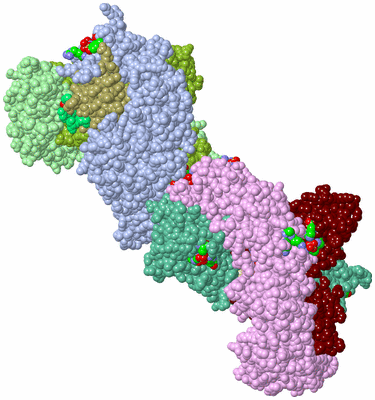 Image Asym. Unit - sites