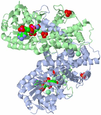 Image Biological Unit 1