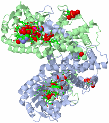 Image Biol. Unit 1 - sites