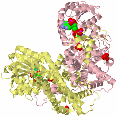 Image Biological Unit 2