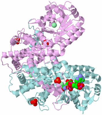 Image Biological Unit 3