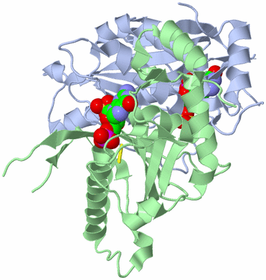 Image Asym./Biol. Unit