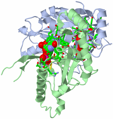 Image Asym./Biol. Unit - sites