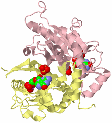 Image Biological Unit 2