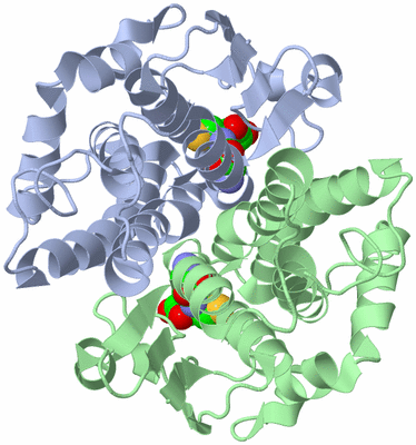 Image Asym./Biol. Unit