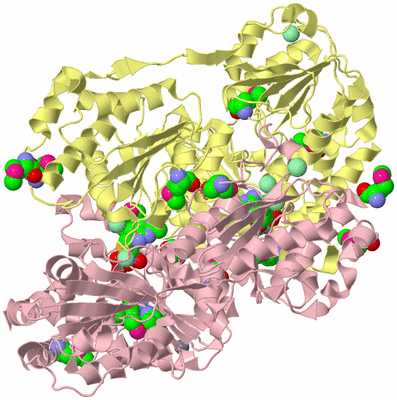 Image Biological Unit 2