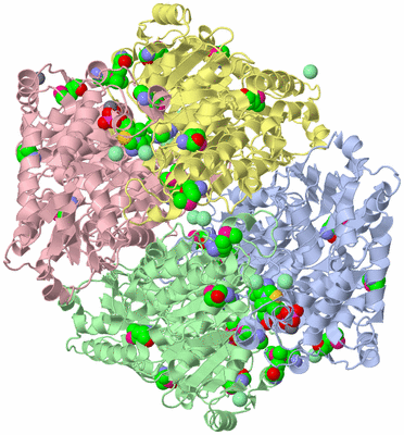 Image Biological Unit 3