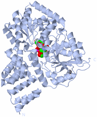 Image Biological Unit 1