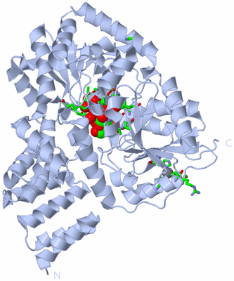 Image Biol. Unit 1 - sites