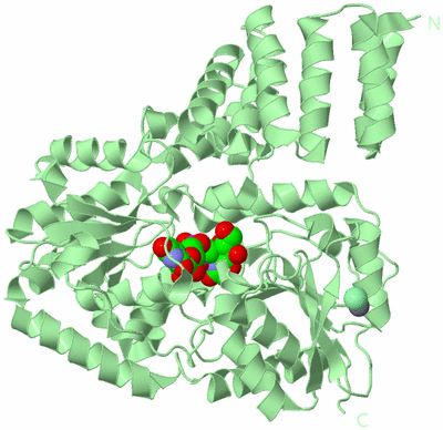 Image Biological Unit 2