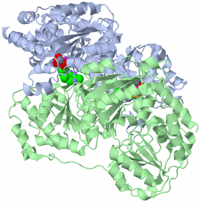 Image Biological Unit 1