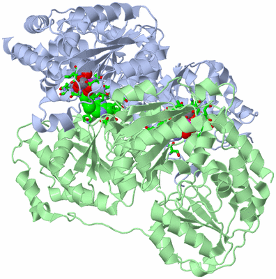 Image Biol. Unit 1 - sites