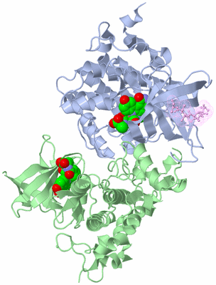 Image Biological Unit 1