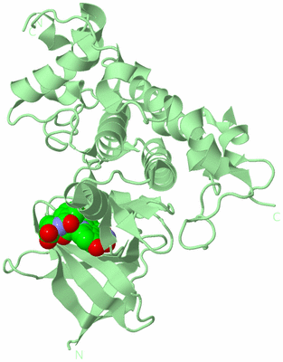 Image Biological Unit 2