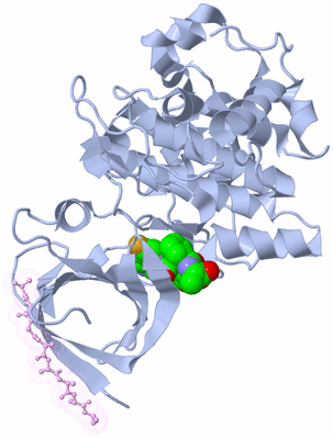 Image Biological Unit 3