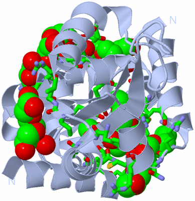 Image Biol. Unit 1 - sites