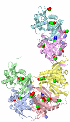 Image Asym./Biol. Unit