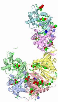 Image Asym./Biol. Unit - sites