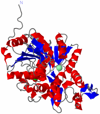 Image Asym./Biol. Unit