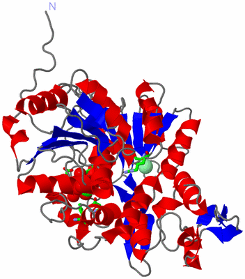 Image Asym./Biol. Unit - sites